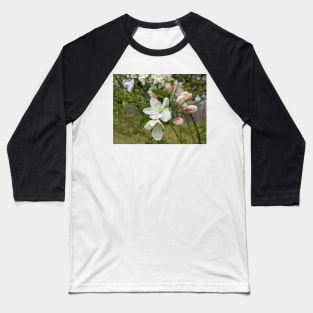 White and Pink Tree Flowers 1 Baseball T-Shirt